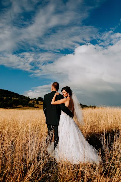 Fotografo di matrimoni Mario Novotka (novotkamario). Foto del 23 luglio 2023