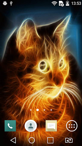 免費下載個人化APP|Sunny cat live wallpaper app開箱文|APP開箱王