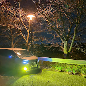 エスクァイア ZRR80G