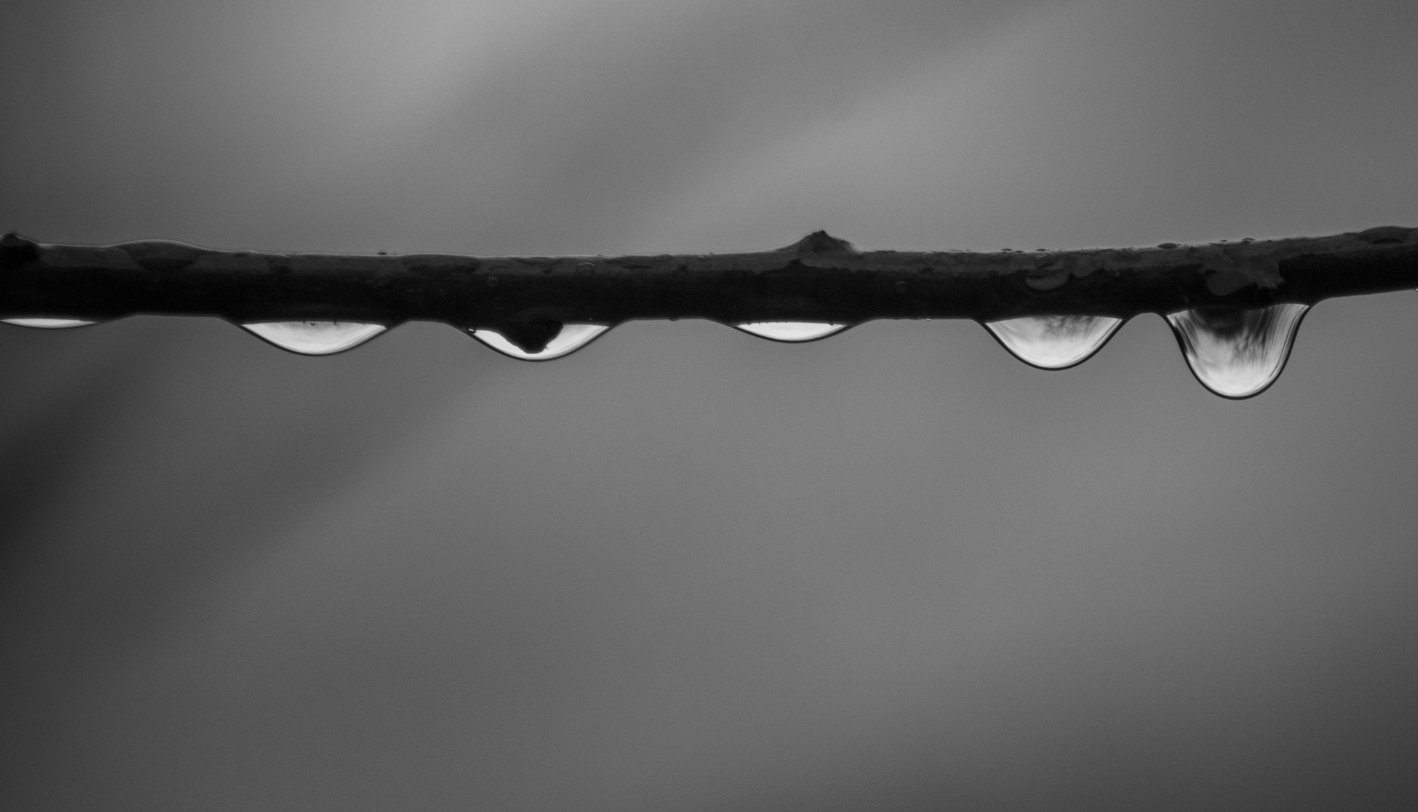 inside the drops di samuele.laurenzi