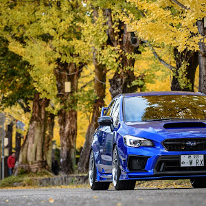 WRX STI VAB