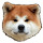 Shiba Inu HD Wallpapers Akita Dogs Theme