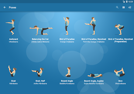   Pocket Yoga- screenshot thumbnail   
