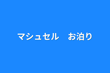 マシュセル　お泊り