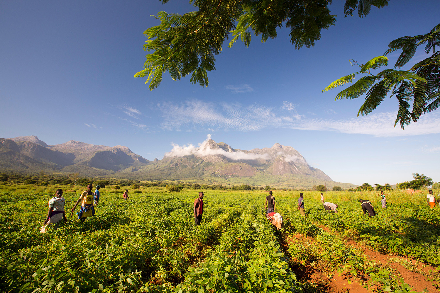 The residents of Mulanje fear their ancestors’ wrath