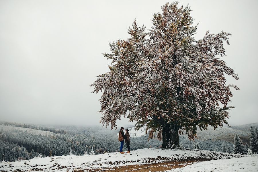 Photographe de mariage Aleksandr Kopytko (kopitko). Photo du 27 janvier 2017