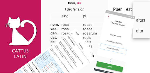 Le migliori app Android per studiare il LATINO