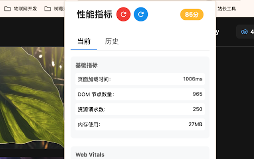 网页性能监测器
