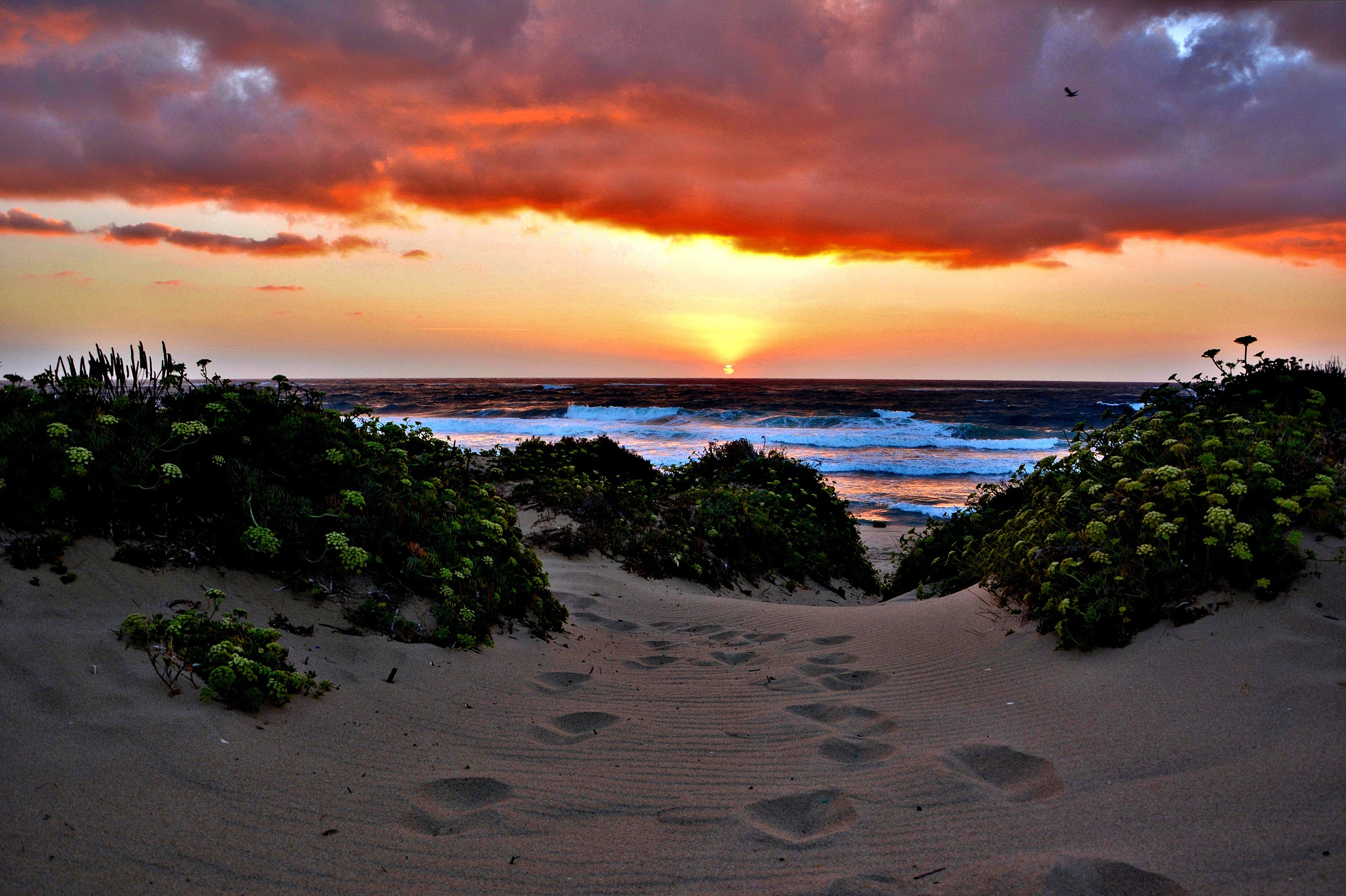 Impronte al tramonto di Apnea