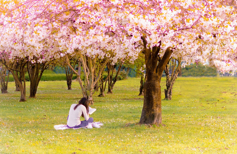 Hobby di primavera di Valentina D.