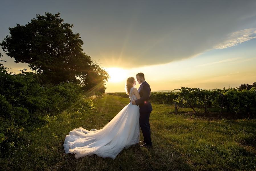 Hochzeitsfotograf Bence Pányoki (panyokibence). Foto vom 17. August 2018