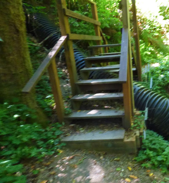 Riverview Trail, Loeb State Park