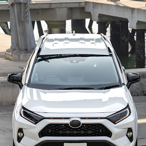 RAV4 AXAH54