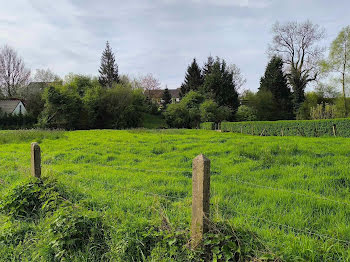 terrain à Thiembronne (62)