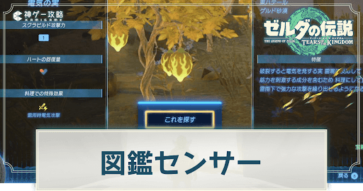 図鑑センサーの使い方と入手方法