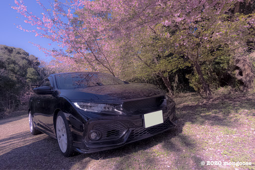 シビック Fk7の愛車紹介 桜とコラボ ホイールマッチング Work Emotion M8rに関するカスタム メンテナンスの投稿画像 車のカスタム情報はcartune