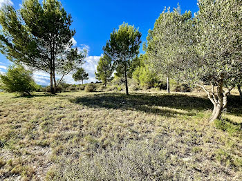 terrain à Peyriac-de-Mer (11)