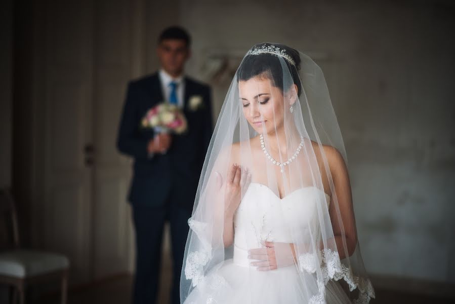 Photographe de mariage Elena Volkova (mishlena). Photo du 24 mai 2016