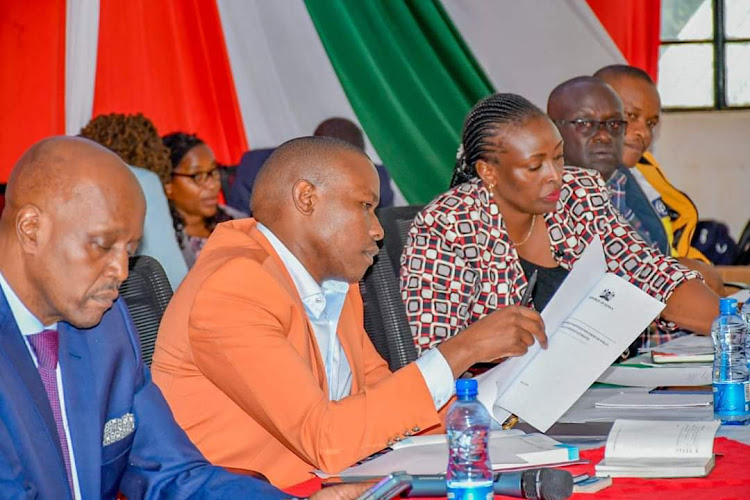 Leaders from Kiambu presenting their views to National Assembly’s Budget and Appropriations Committee during a public hearing for the 2024/2025 national budget.