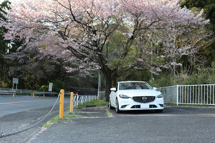 アテンザの桜・宮ヶ瀬に関するカスタム事例の投稿画像3枚目