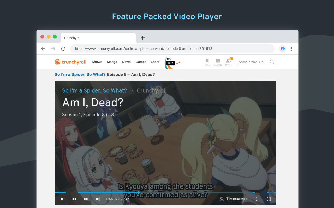 Anime Skip Player Preview image 3