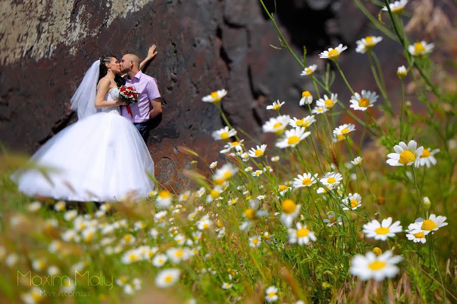 Fotografo di matrimoni Maksim Malyy (mmaximall). Foto del 22 giugno 2016