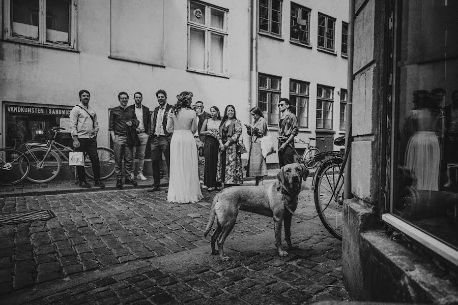 Fotógrafo de casamento Vadim Shevcov (amdb9). Foto de 2 de fevereiro