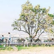 梵谷星空 休閒景觀咖啡 農莊