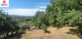 terrain à Saint-Vallier-de-Thiey (06)