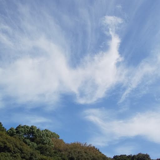 ♪☁️⭐ありさ⭐☁️♫