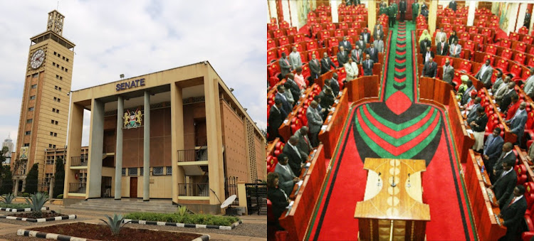 The kenyan Senate and Parliament