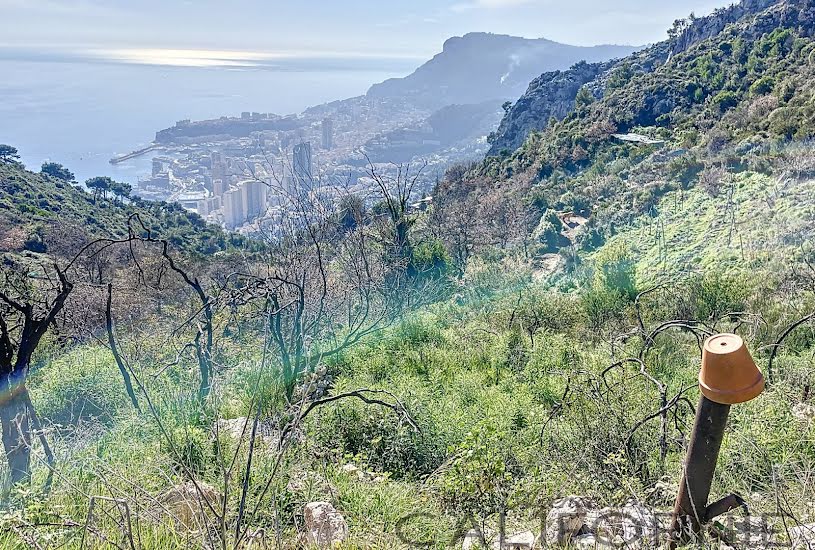  Vente Terrain à bâtir - 8 127m² à Roquebrune-Cap-Martin (06190) 