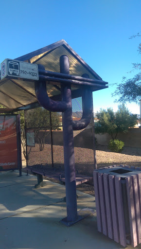 Saguaro Bus Stop