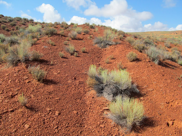 Steep wagon road