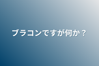 ブラコンですが何か？