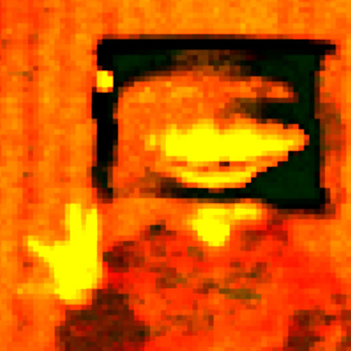 Tadpole Youtube Music