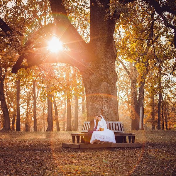 Fotógrafo de casamento Igor Stasienko (stasienko). Foto de 15 de novembro 2020