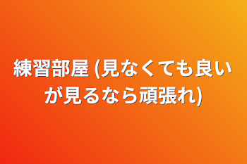 練習部屋  (見なくても良いが見るなら頑張れ)