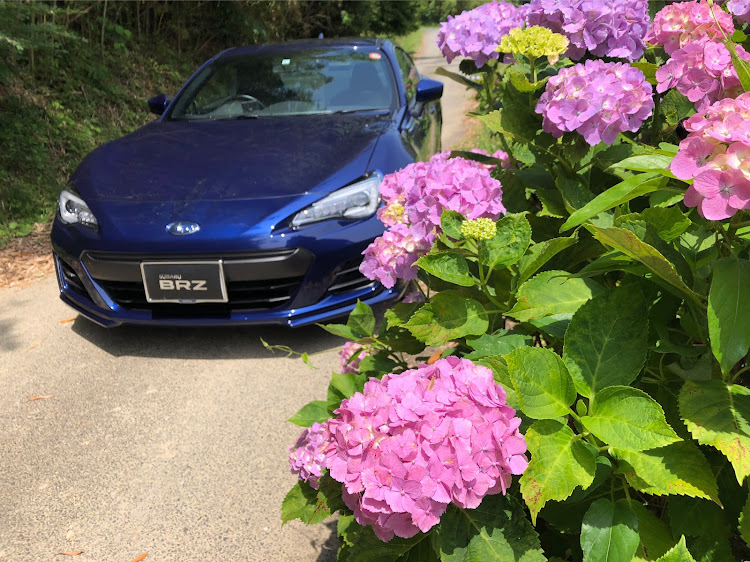 BRZの紫陽花と愛車・宮若市の紫陽花・ノーマル車はピックアップされない・紫陽花とコラボはいかがでしょう？・iPhone8無加工スマホ撮りに関するカスタム事例の投稿画像5枚目