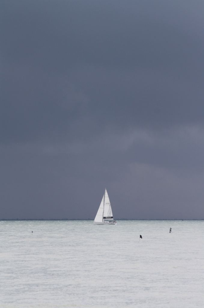 Wind  Più forte del vento di Spafufina