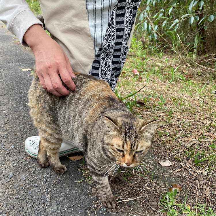 の投稿画像16枚目