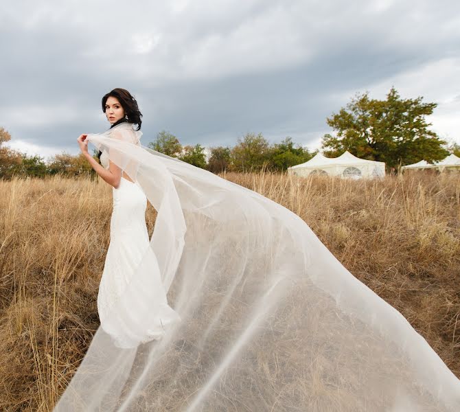 Wedding photographer Nikolay Parovyshnik (danagan). Photo of 16 November 2016