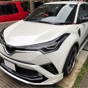 C-HR ZYX10