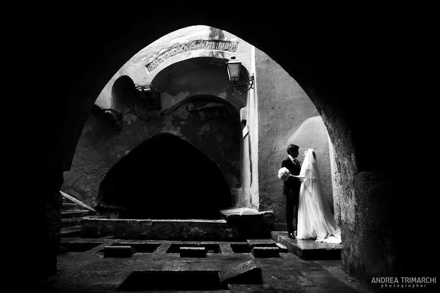 Wedding photographer Andrea Trimarchi (andreatrimarchi). Photo of 12 February 2015