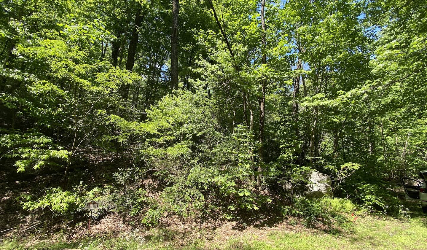 Terrain Lake Lure