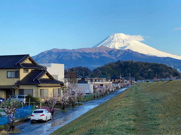 の投稿画像1枚目