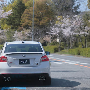 WRX STI