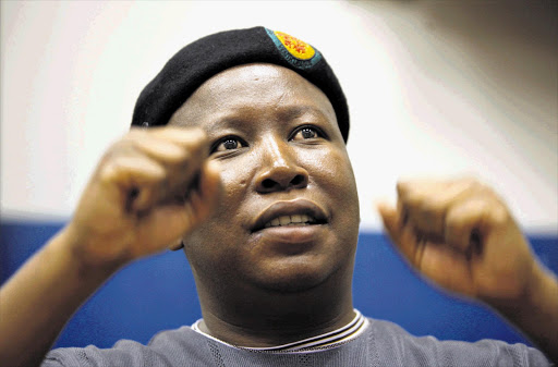 ANCYL president Julius Malema. File photo.