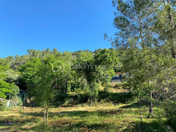 terrain à Vins-sur-Caramy (83)