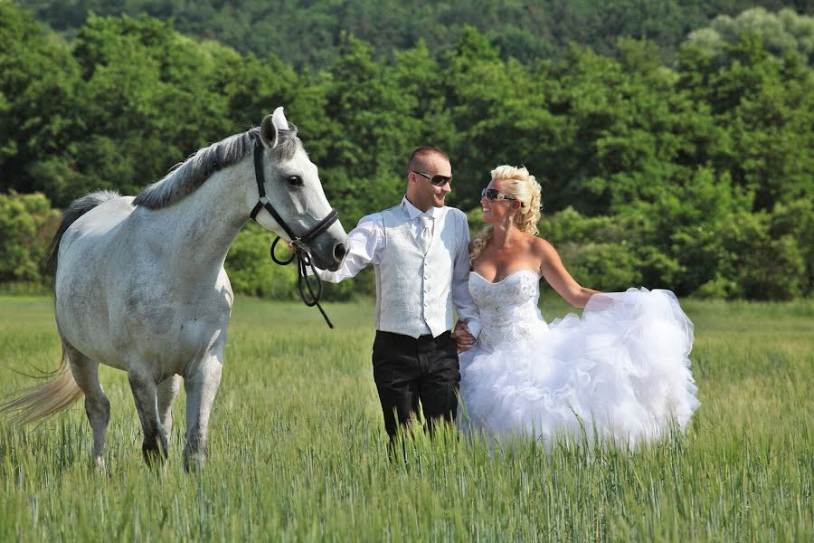 Svatební fotograf Attila Gál (galattila). Fotografie z 3.března 2019